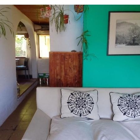 Casita En La Montana Lägenhet San Martín de los Andes Exteriör bild