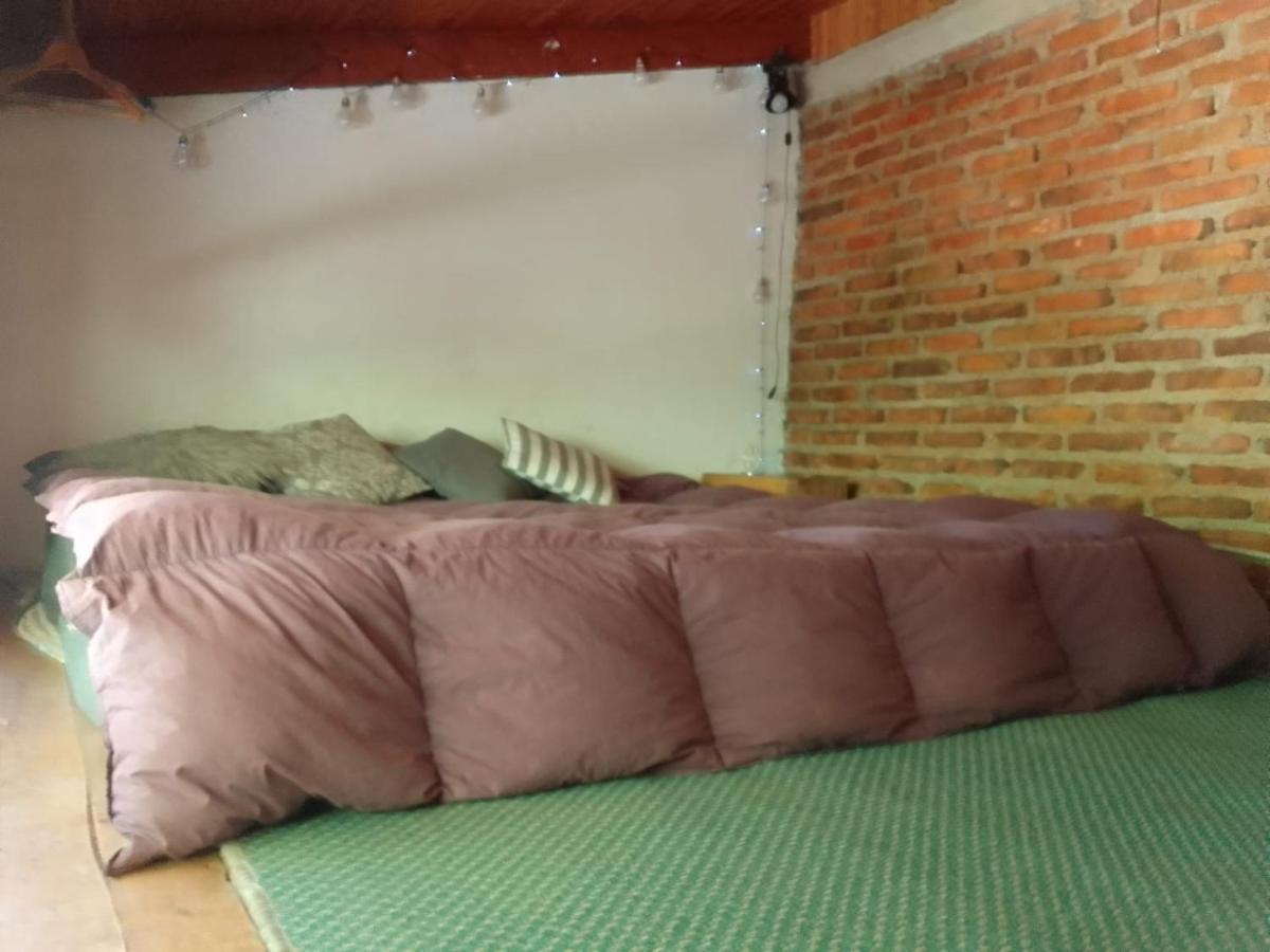Casita En La Montana Lägenhet San Martín de los Andes Exteriör bild